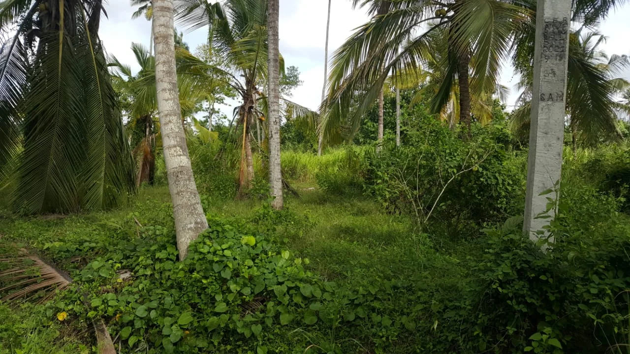 Land For Sale in Narangalla